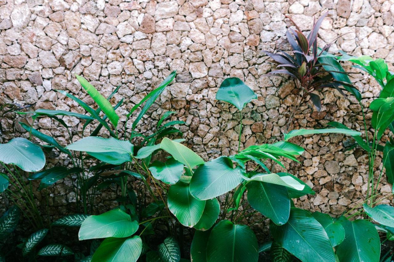 Mana Eco Retreat Hotel Kuta  Екстериор снимка